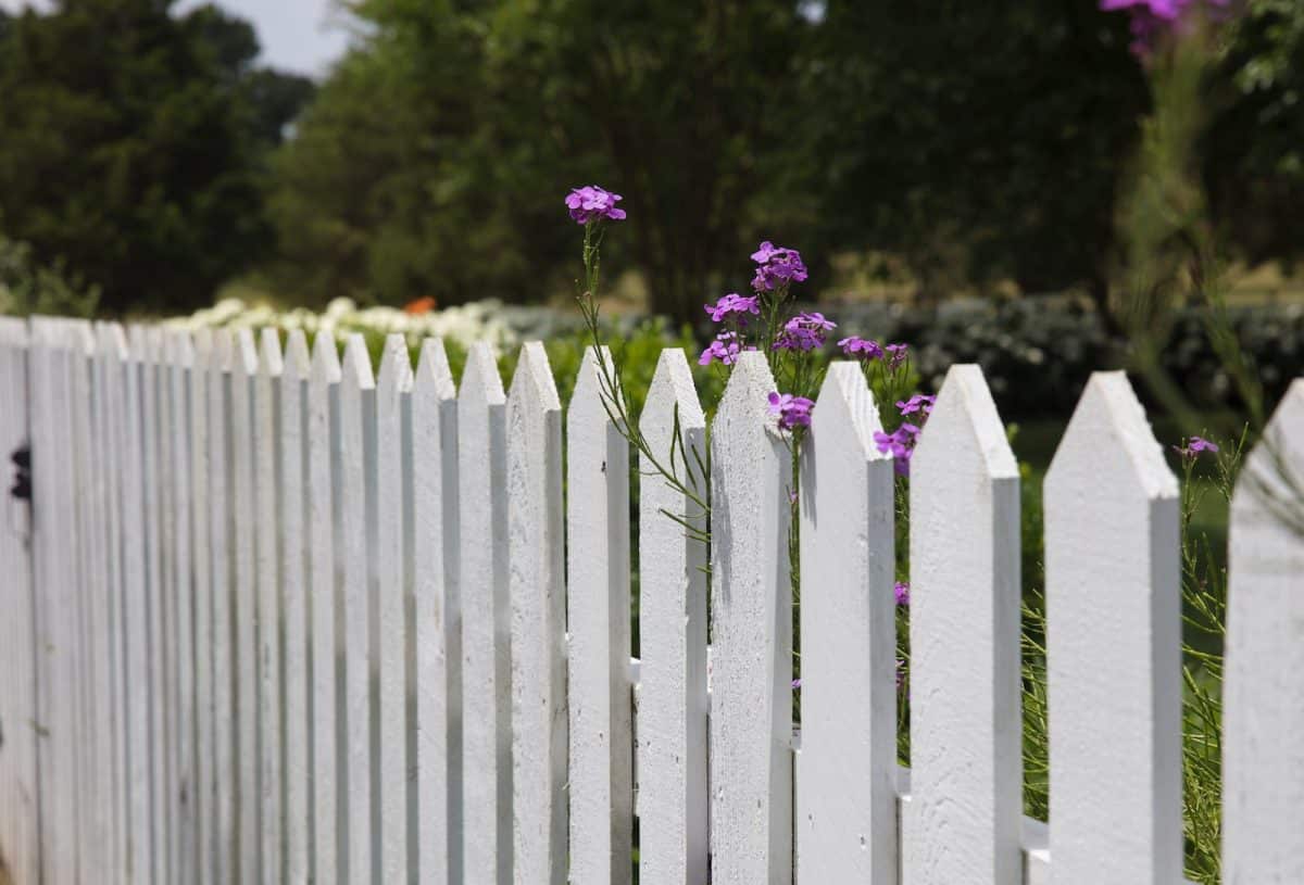 L'été arrive : quelle bordure de jardin choisir et comment la décorer ? 