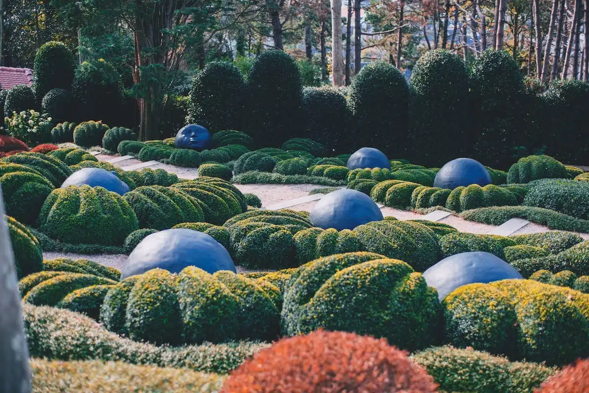 jardinage estival