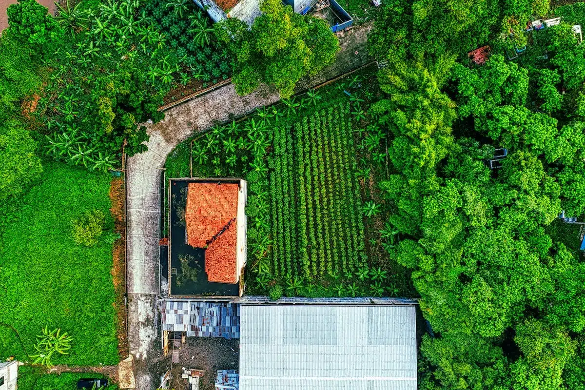 jardin écologique