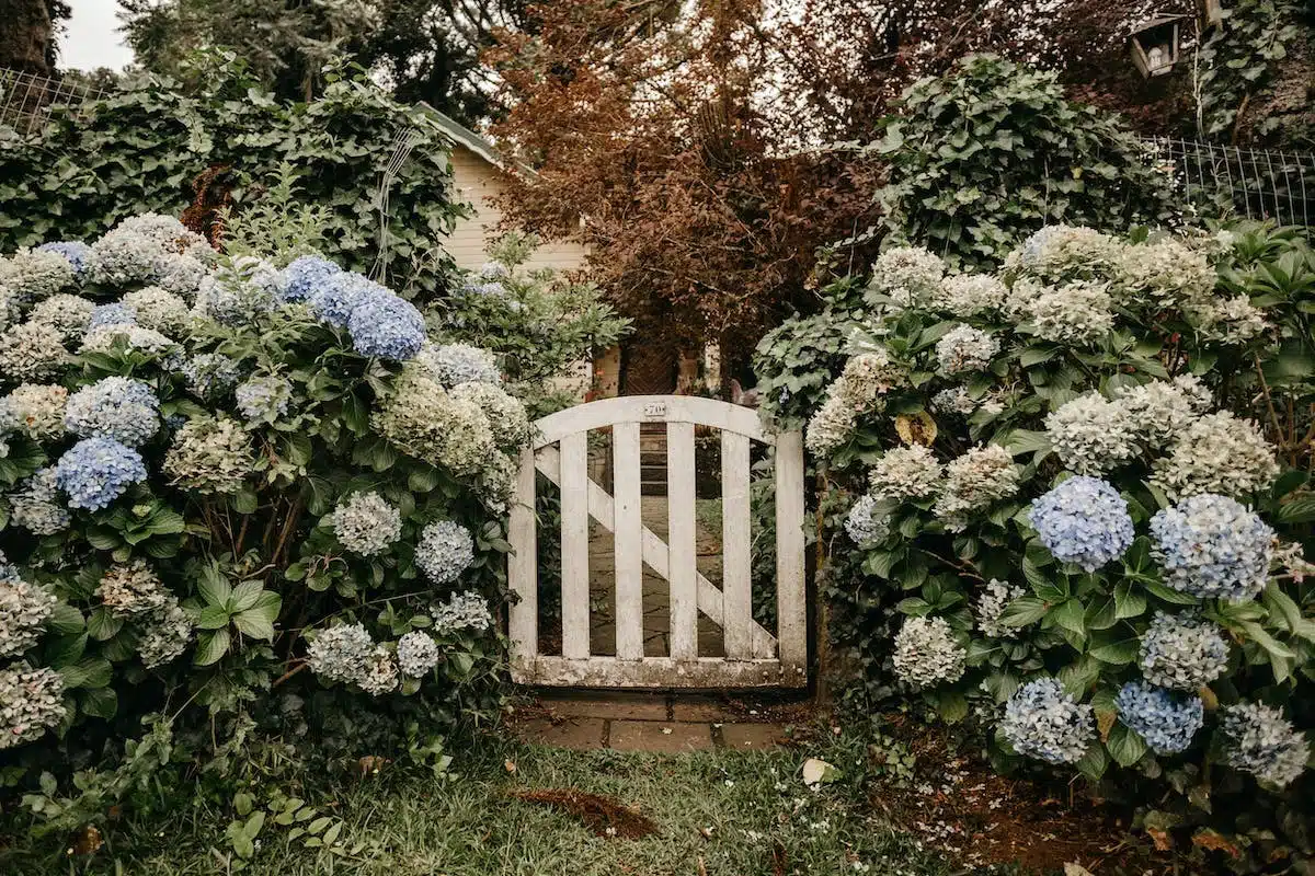 jardin florissant