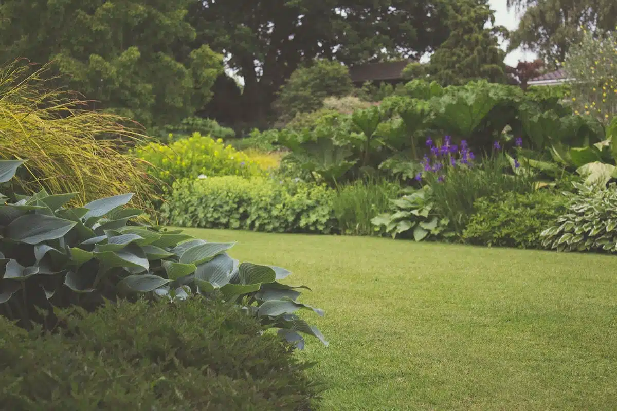 jardin sécheresse