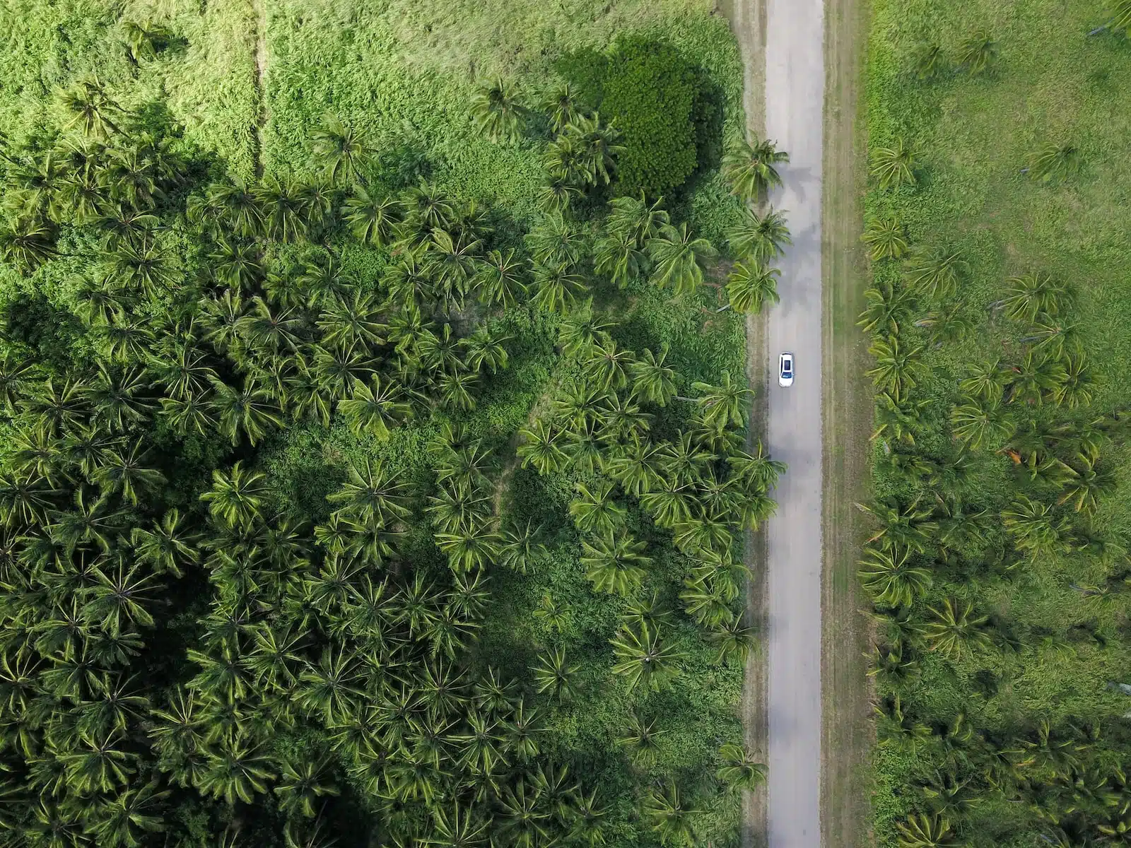 Comment planifier un voyage écologique 