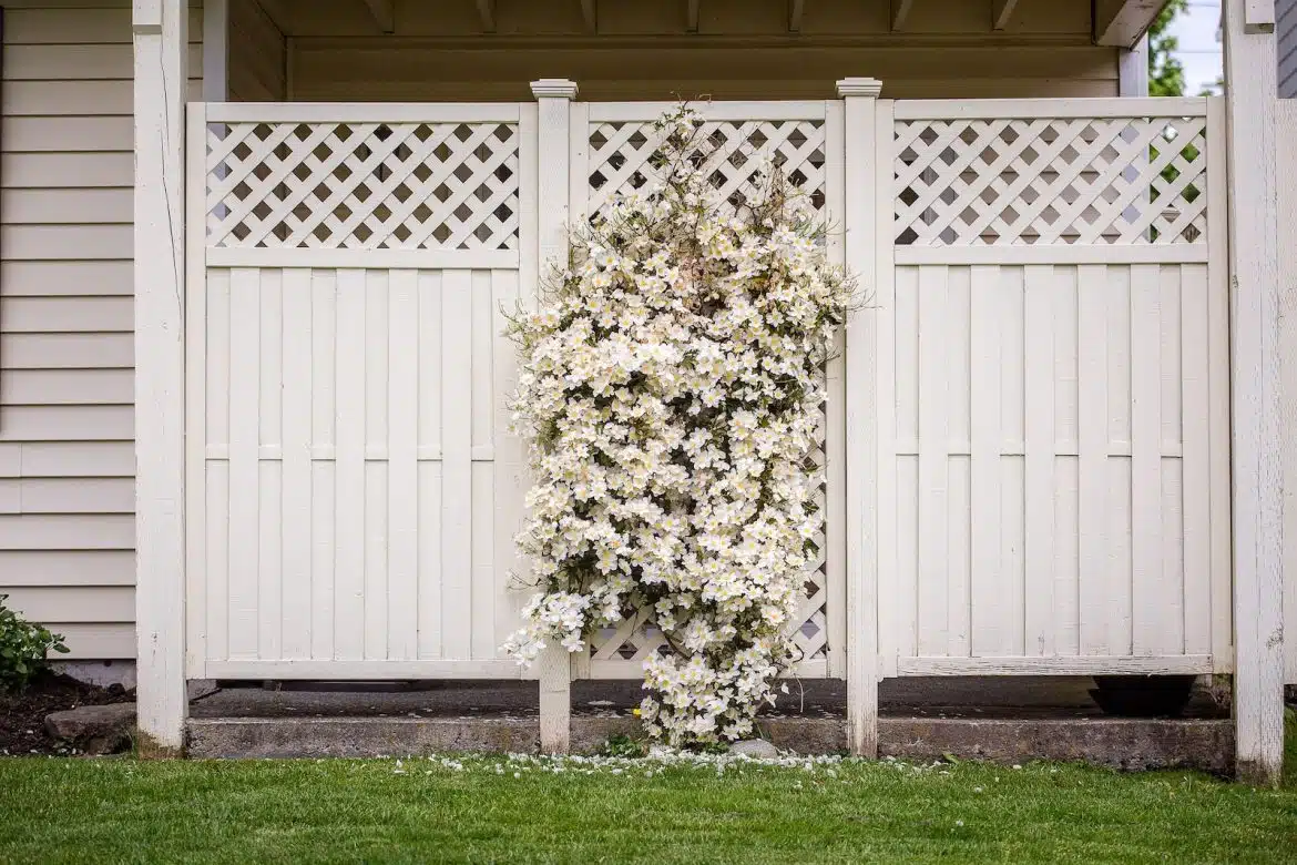 L'été arrive : quelle bordure de jardin choisir et comment la décorer ?